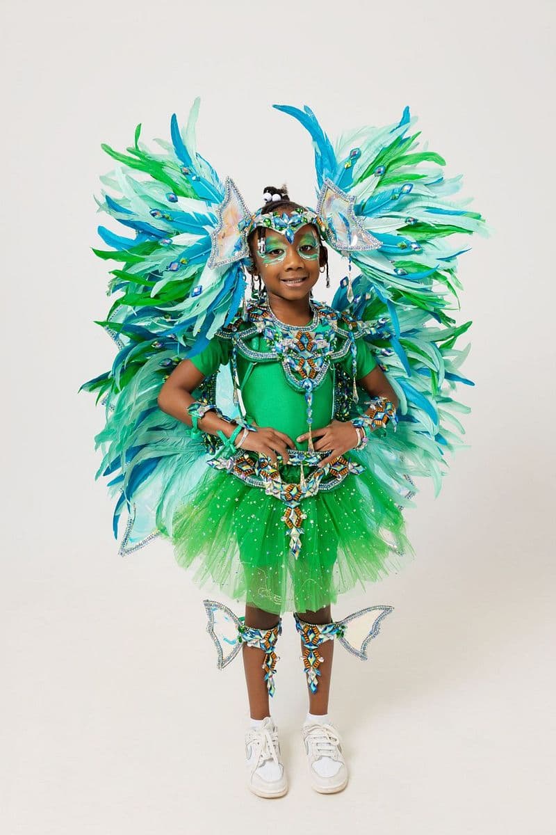 Package image