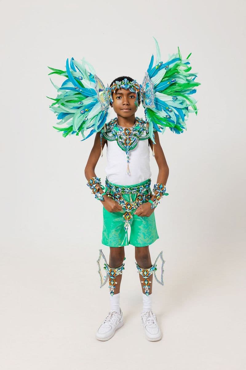 Package image